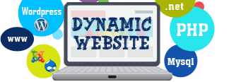 Dynamic Website