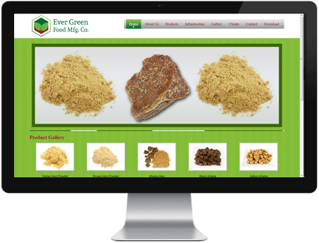 Web Design