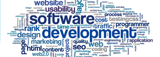 Software Development